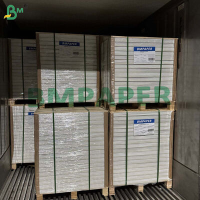 20 g di carta per separare le cipolle e le tortillas carta non appiccicosa 12' x 12' resistente al calore