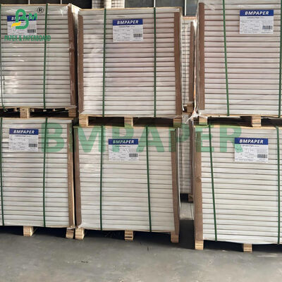 70G 80G Carta inossidabile, superficie superiore colorata, superficie posteriore bianca 70cm x 100cm
