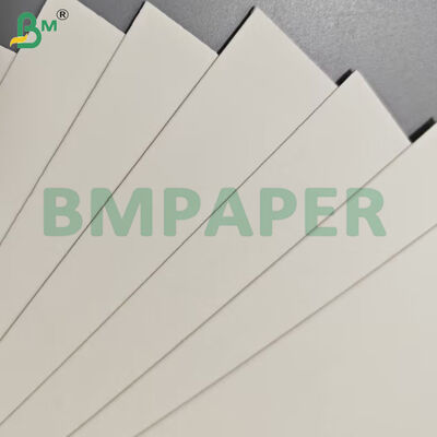 Carta per contenitori alimentari di qualità alimentare 190 gm + rivestimento in PE