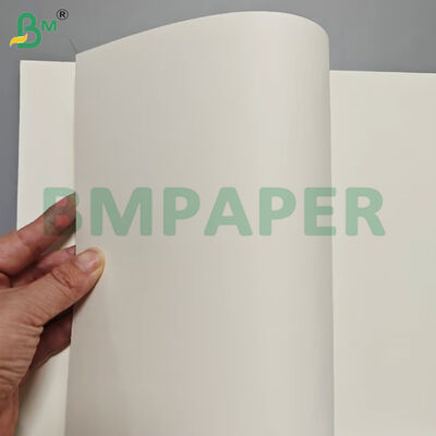 Carta per contenitori alimentari di qualità alimentare 190 gm + rivestimento in PE