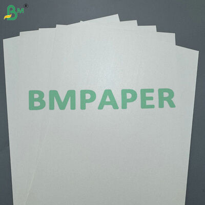 170-400 gsm di carta per bicchieri rivestita in PLA cartone compostabile per bicchieri di bevande calde e fredde