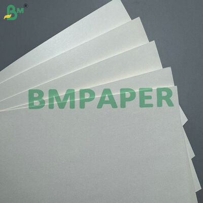 170-400 gsm di carta per bicchieri rivestita in PLA cartone compostabile per bicchieri di bevande calde e fredde