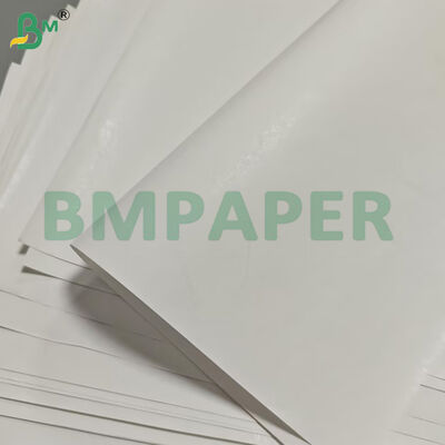 55gsm Rotoli Jumbo di Carta Termica con Larghezza Personalizzata per Etichette