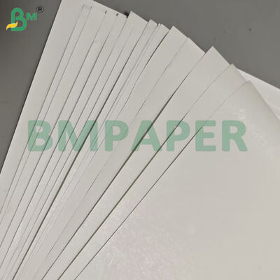 55gsm Rotoli Jumbo di Carta Termica con Larghezza Personalizzata per Etichette