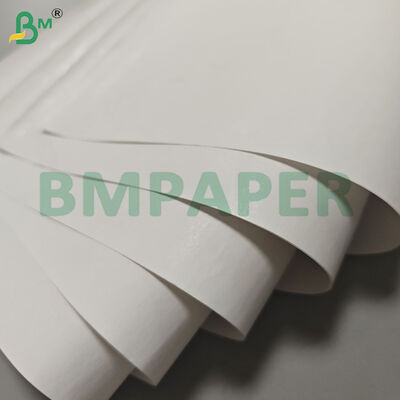 55gsm Rotoli Jumbo di Carta Termica con Larghezza Personalizzata per Etichette