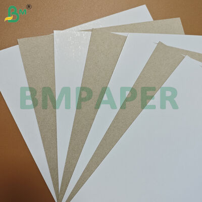 0.5mm di cartone duplex rivestito da un lato con dorso grigio