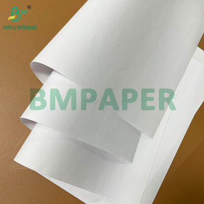 50 gm 53 gm 55 gm Carta non rivestita da entrambi i lati senza legno