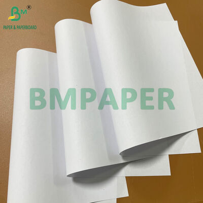 50 gm 53 gm 55 gm Carta non rivestita da entrambi i lati senza legno