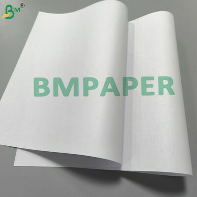 50 g 53 g 55 g Carta di testo per libri non rivestita Carta da stampa per libri ad alta bianchezza