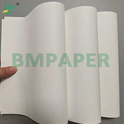 Rotoli di carta Kraft bianca ad alta resistenza da 120 g/m² per borse della spesa