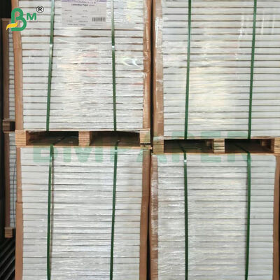 Fogli di carta autocopiante NCR trasparente da 75 g/m² in risma