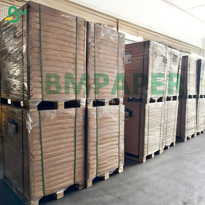 Kit 5 Carta per Gastronomia Bianca 50gsm per Rivestimenti Cesti per Alimenti Resistente al Grasso