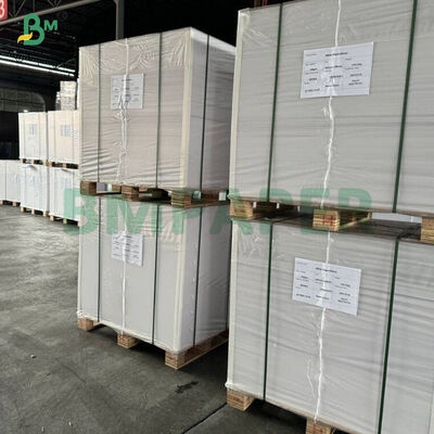 280 gm White Heat Seal Coating One Side Coated Cardstock per imballaggi a bolle