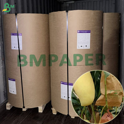 Carta di imballaggio a doppio strato impermeabile da 56 grammi per proteggere i frutti per il mango 450 mm